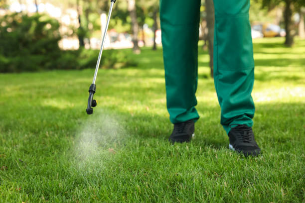 Best Exterminator Services  in Esparto, CA