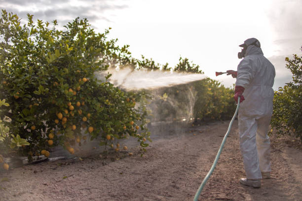 Trusted Esparto, CA Pest Control Experts