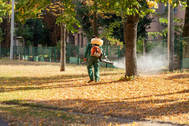 Best Flea Control Services  in Esparto, CA