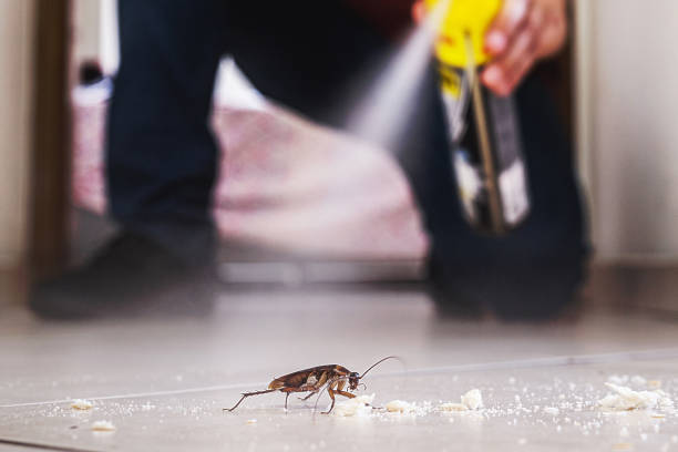 Best Local Pest Control Services  in Esparto, CA
