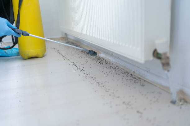 Best Pest Control Near Me  in Esparto, CA
