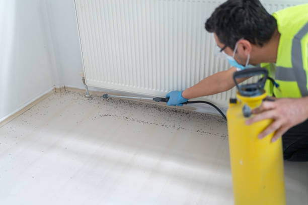 Flea Control Services in Esparto, CA
