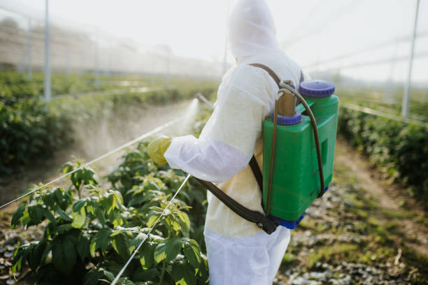 Best Wasp Removal Services  in Esparto, CA